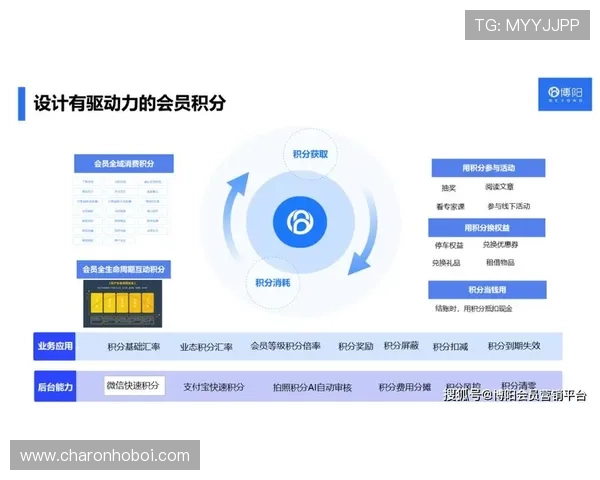 开云中国电子官网会员制度与积分奖励机制全面介绍