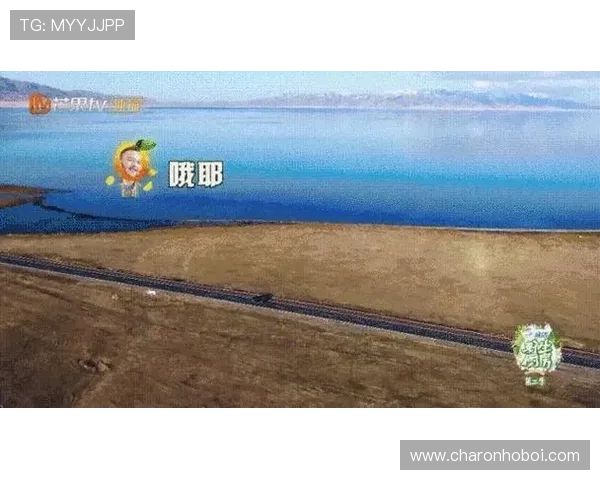 开云tv用户使用指南帮助新手快速上手享受高清影视内容